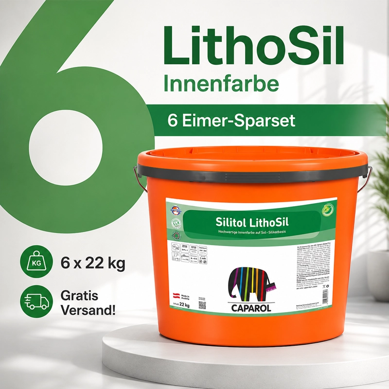 Aktion 6 x 22 kg Caparol Synthesa Silitol LithoSil weiß